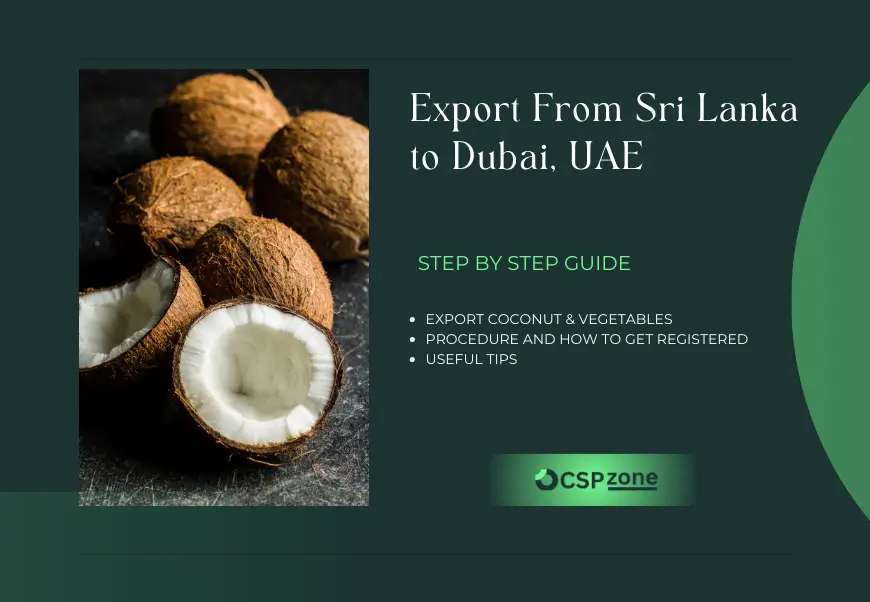 Export From Sri Lanka to Dubai